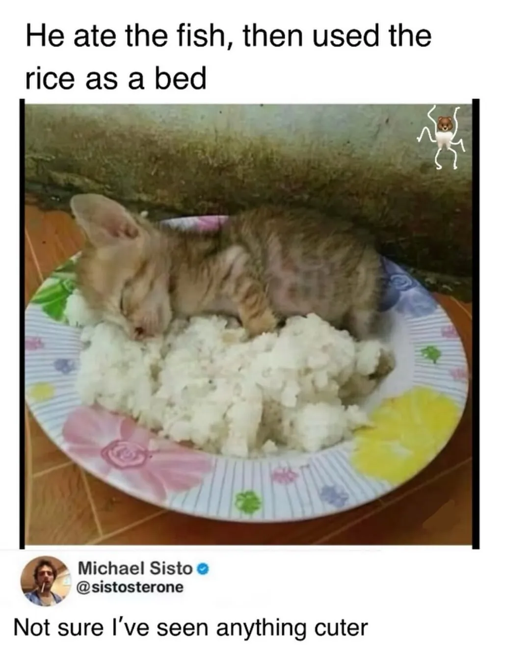 The audacity. The accuracy. The vibes.